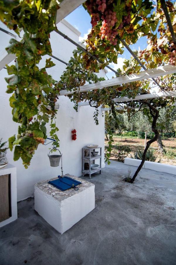 Villa Tommasina Carovigno Zewnętrze zdjęcie